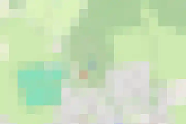 Fonteinwei 12 2 Oudemirdum thumbnail 43