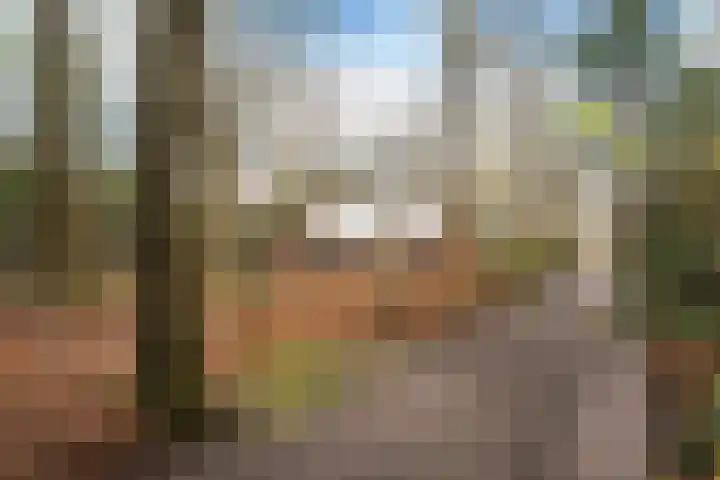 Fonteinwei 12 2 Oudemirdum thumbnail 5
