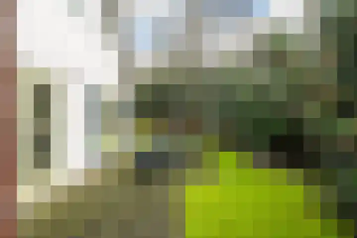 Fonteinwei 12 2 Oudemirdum thumbnail 7