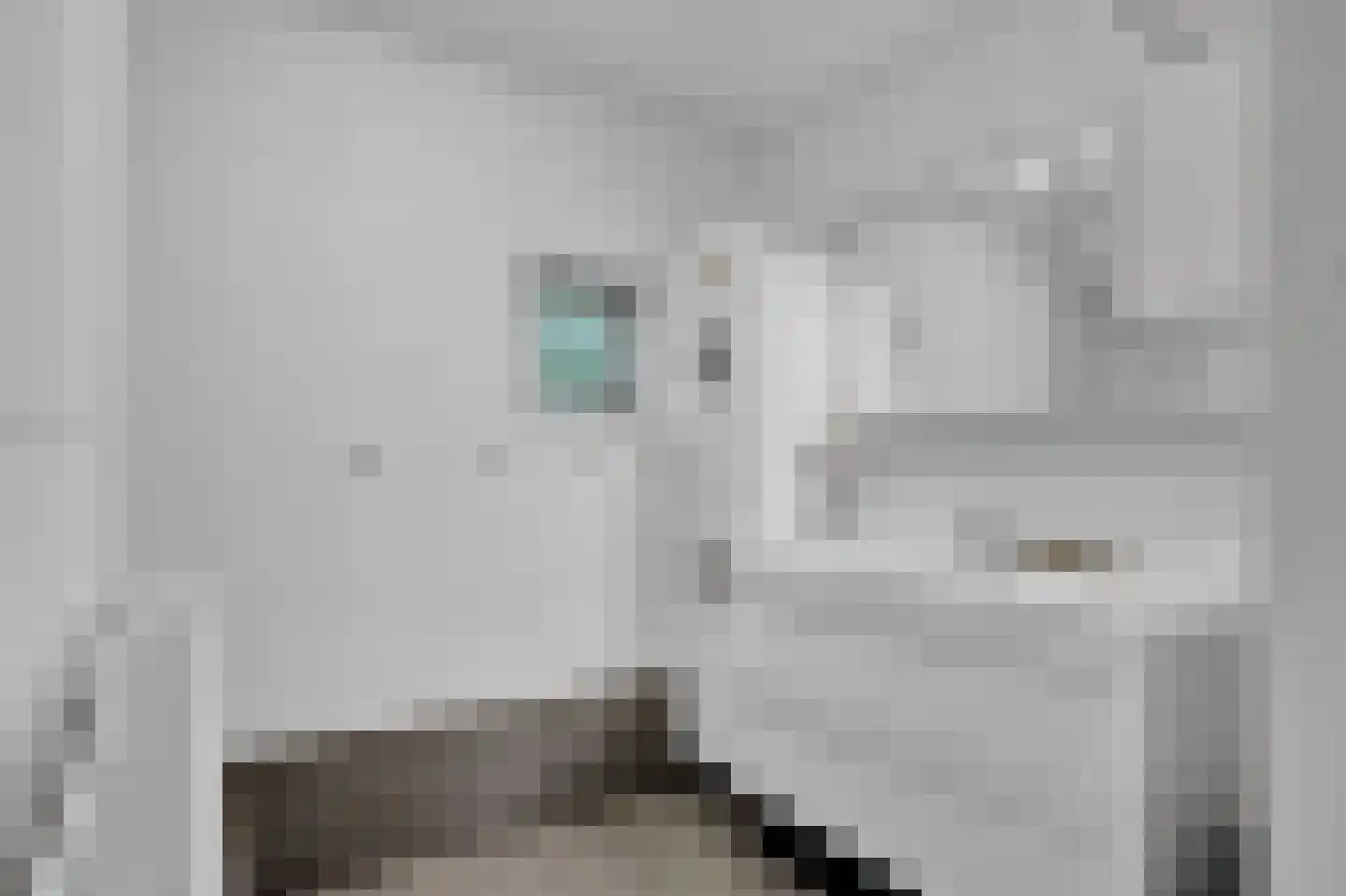 Fonteinwei 12 21 Oudemirdum thumbnail 24