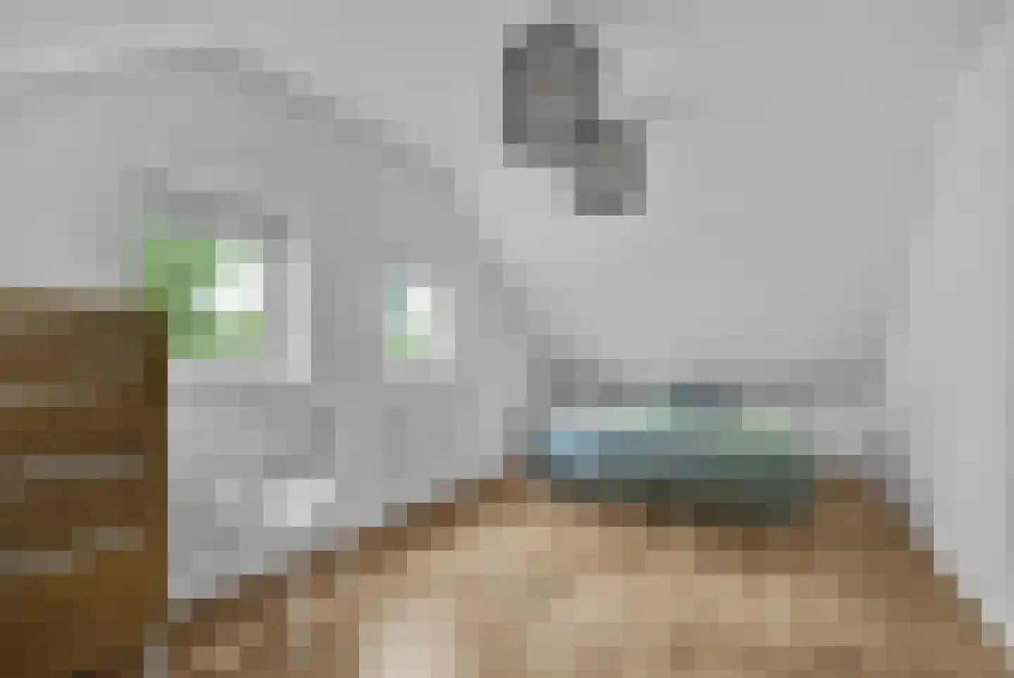 Fonteinwei 12 21 Oudemirdum thumbnail 27