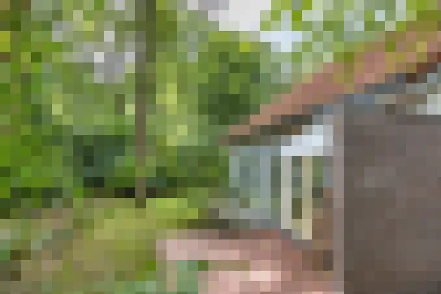 Fonteinwei 12 21 Oudemirdum thumbnail 35