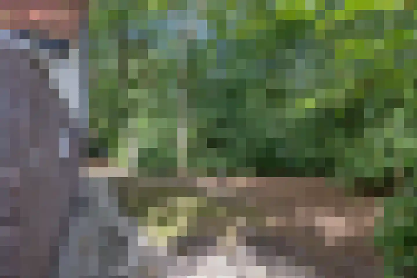 Fonteinwei 12 21 Oudemirdum thumbnail 36