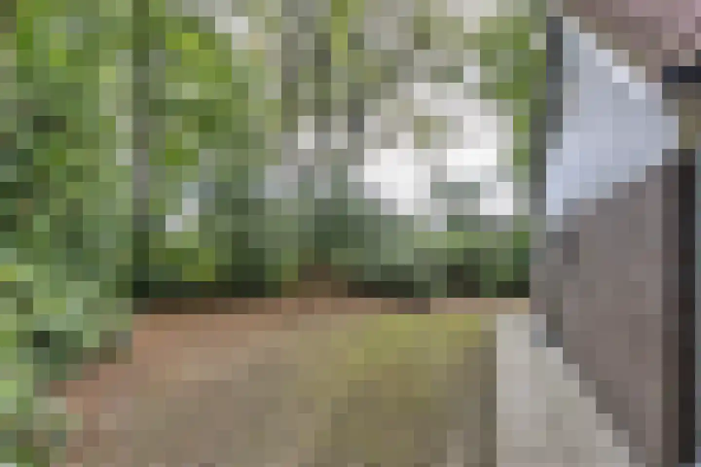 Fonteinwei 12 21 Oudemirdum thumbnail 37