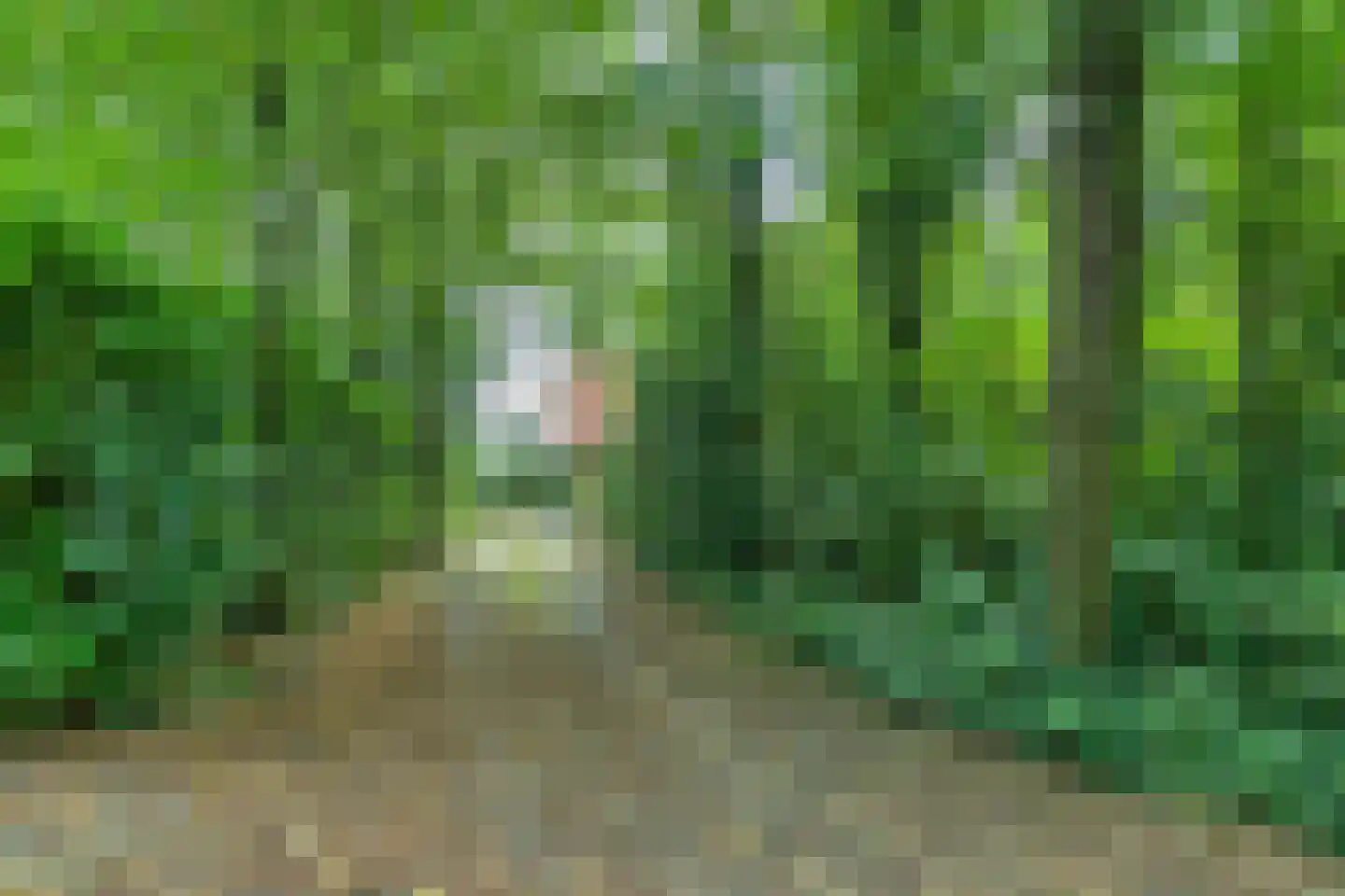 Fonteinwei 12 21 Oudemirdum thumbnail 4