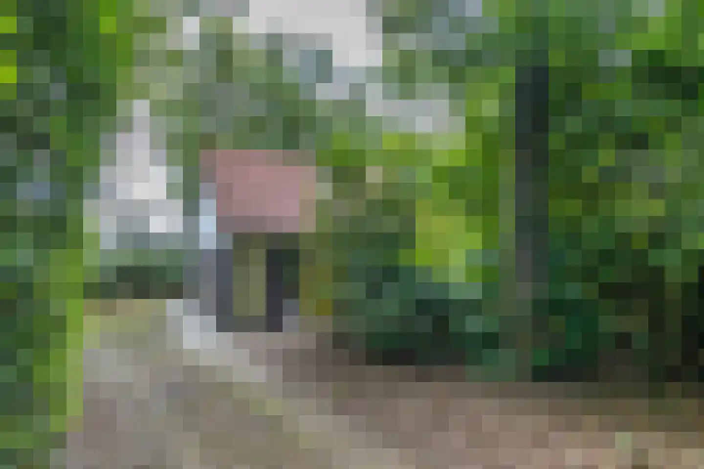 Fonteinwei 12 21 Oudemirdum thumbnail 5