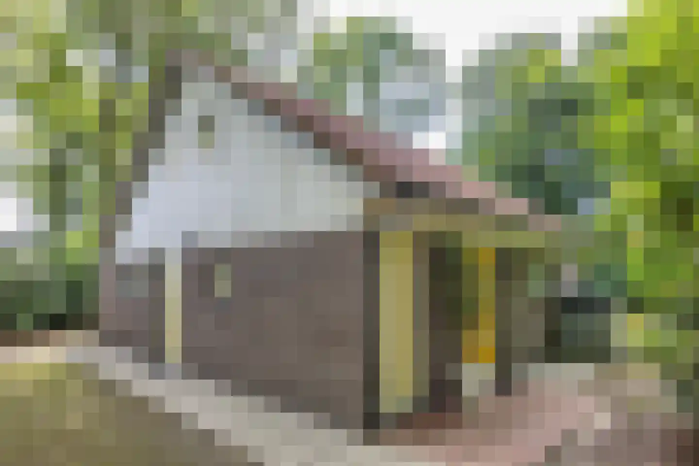 Fonteinwei 12 21 Oudemirdum thumbnail 6