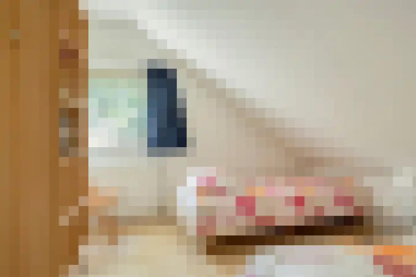 Fonteinwei 12 23 Oudemirdum thumbnail 18