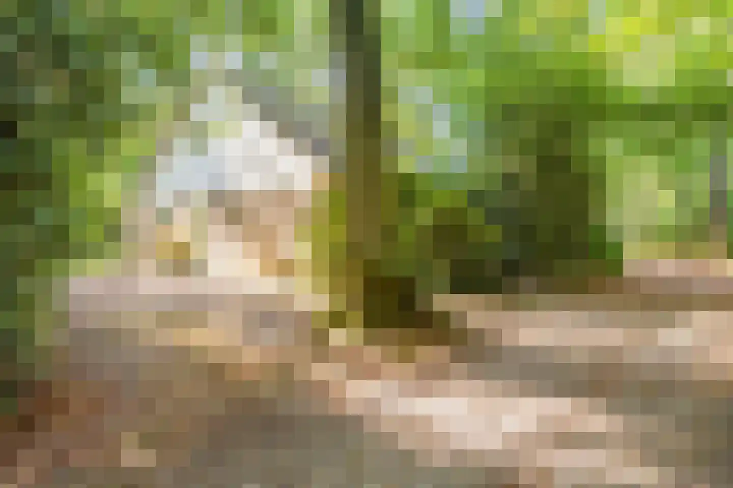 Fonteinwei 12 23 Oudemirdum thumbnail 23