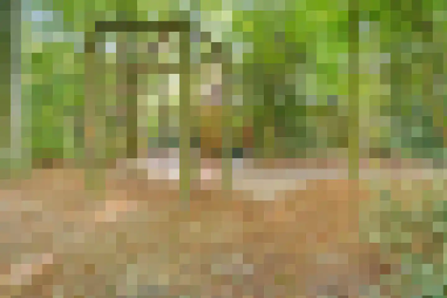 Fonteinwei 12 23 Oudemirdum thumbnail 24