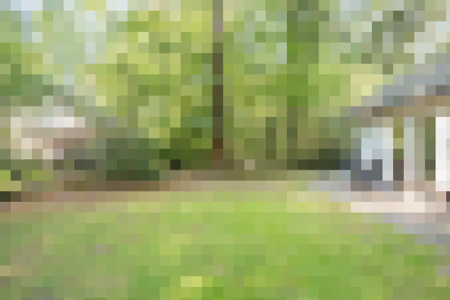 Fonteinwei 12 23 Oudemirdum thumbnail 5