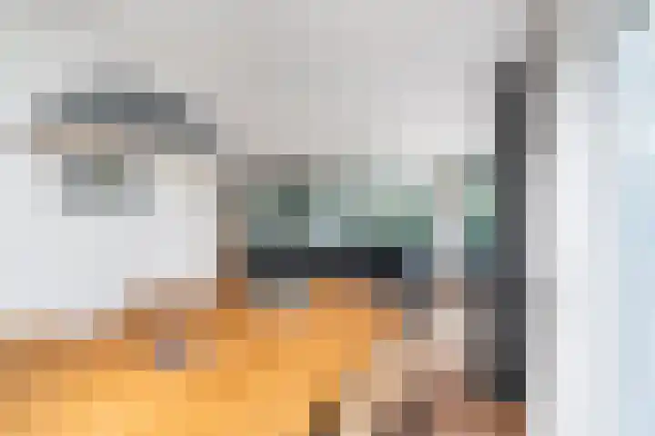 Fonteinwei 12 49 Oudemirdum thumbnail 15