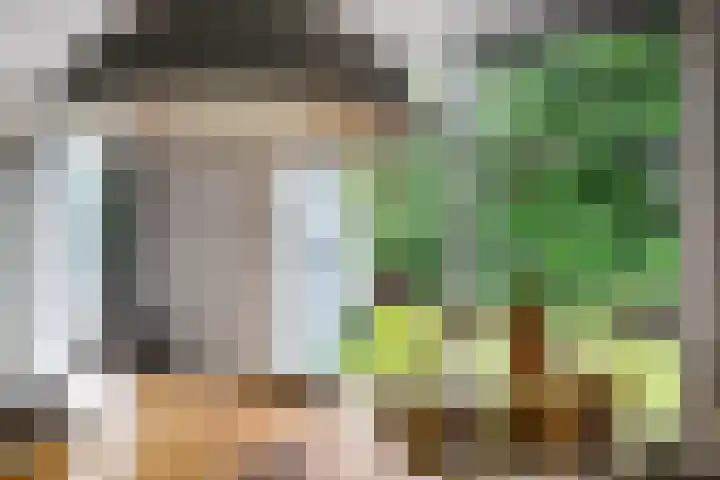 Fonteinwei 12 49 Oudemirdum thumbnail 19