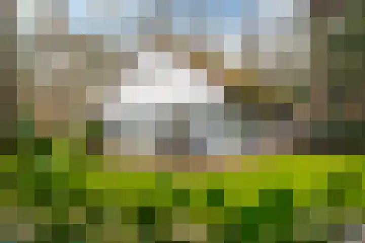 Fonteinwei 12 49 Oudemirdum thumbnail 27