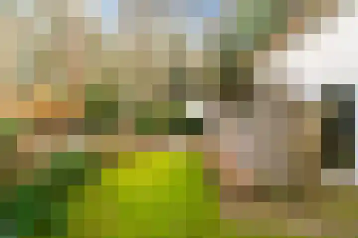 Fonteinwei 12 49 Oudemirdum thumbnail 28