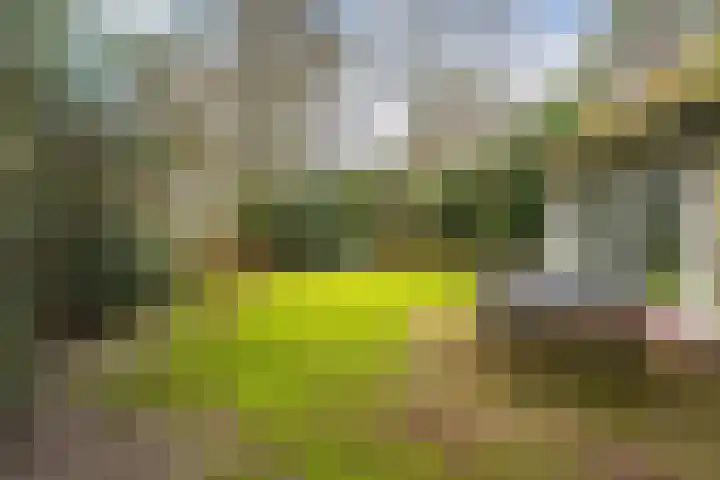 Fonteinwei 12 49 Oudemirdum thumbnail 4