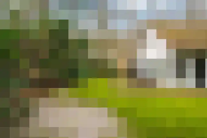 Fonteinwei 12 49 Oudemirdum thumbnail 5