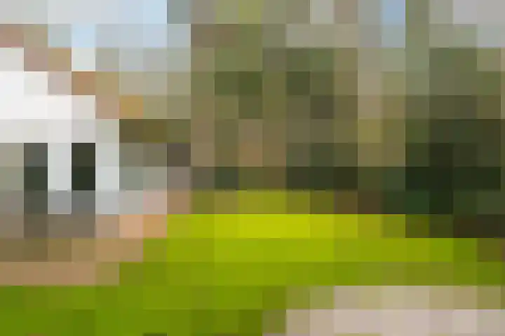Fonteinwei 12 49 Oudemirdum thumbnail 6