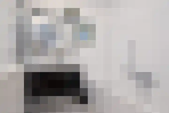 Fonteinwei 12 49 Oudemirdum thumbnail 8