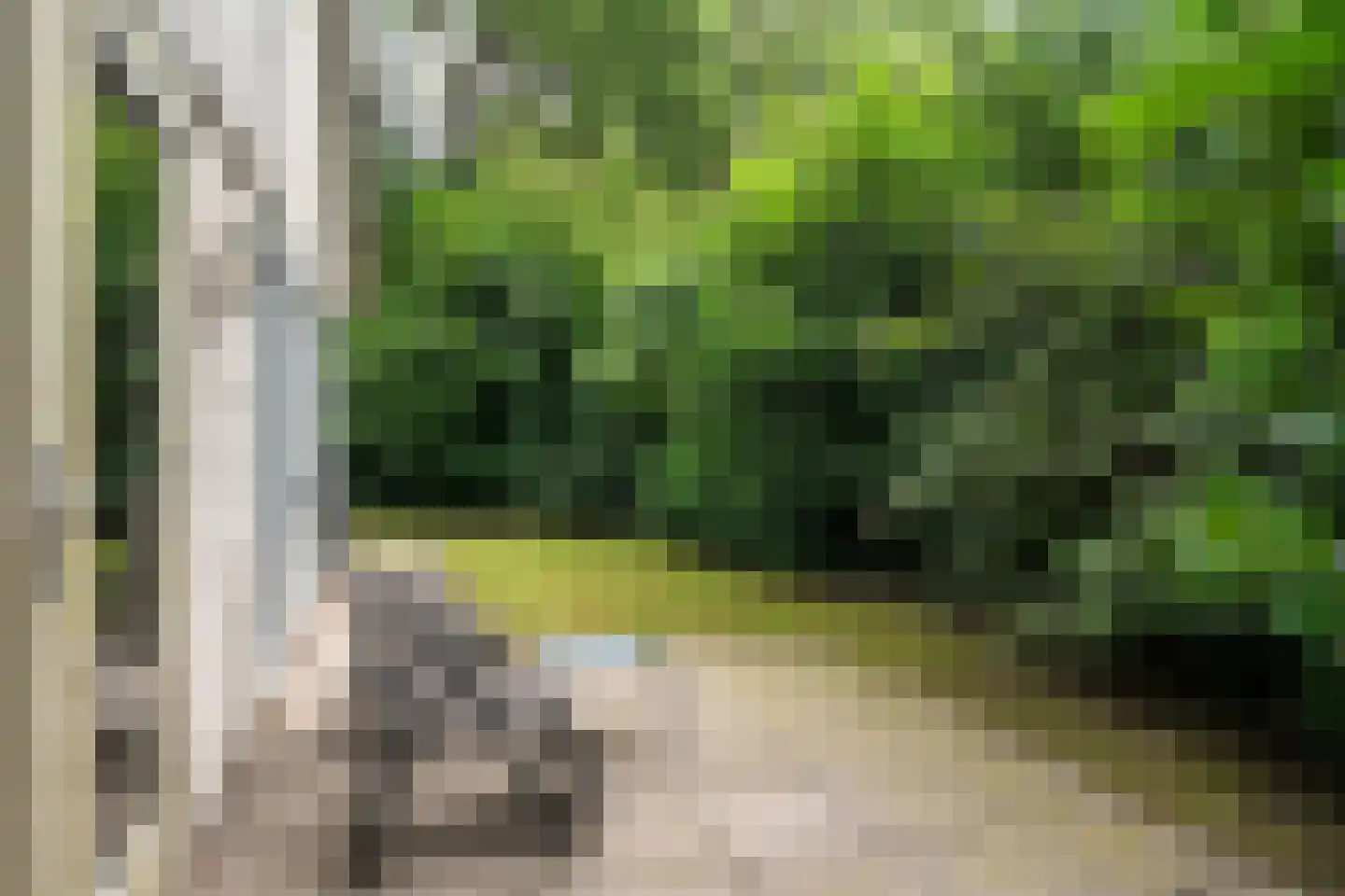 Fonteinwei 12 53 Oudemirdum thumbnail 10
