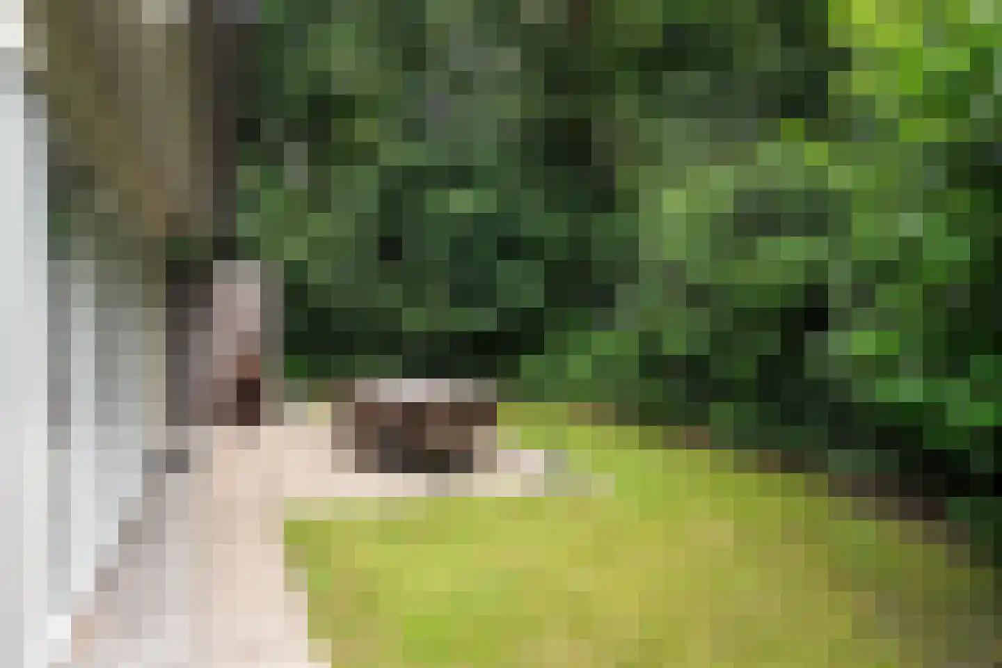 Fonteinwei 12 53 Oudemirdum thumbnail 12