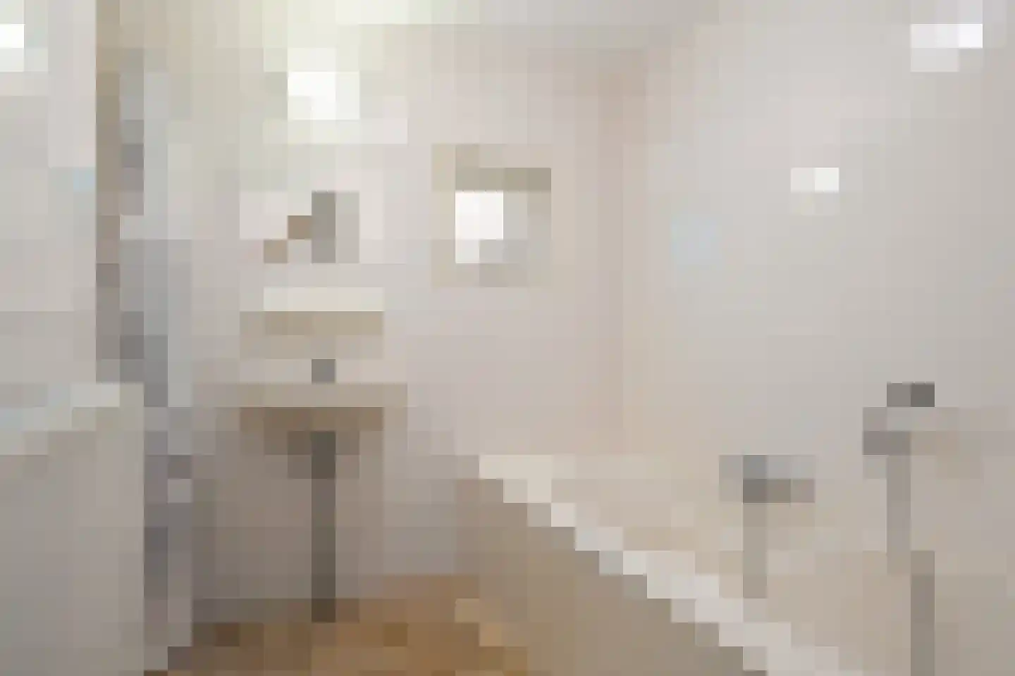 Fonteinwei 12 53 Oudemirdum thumbnail 17