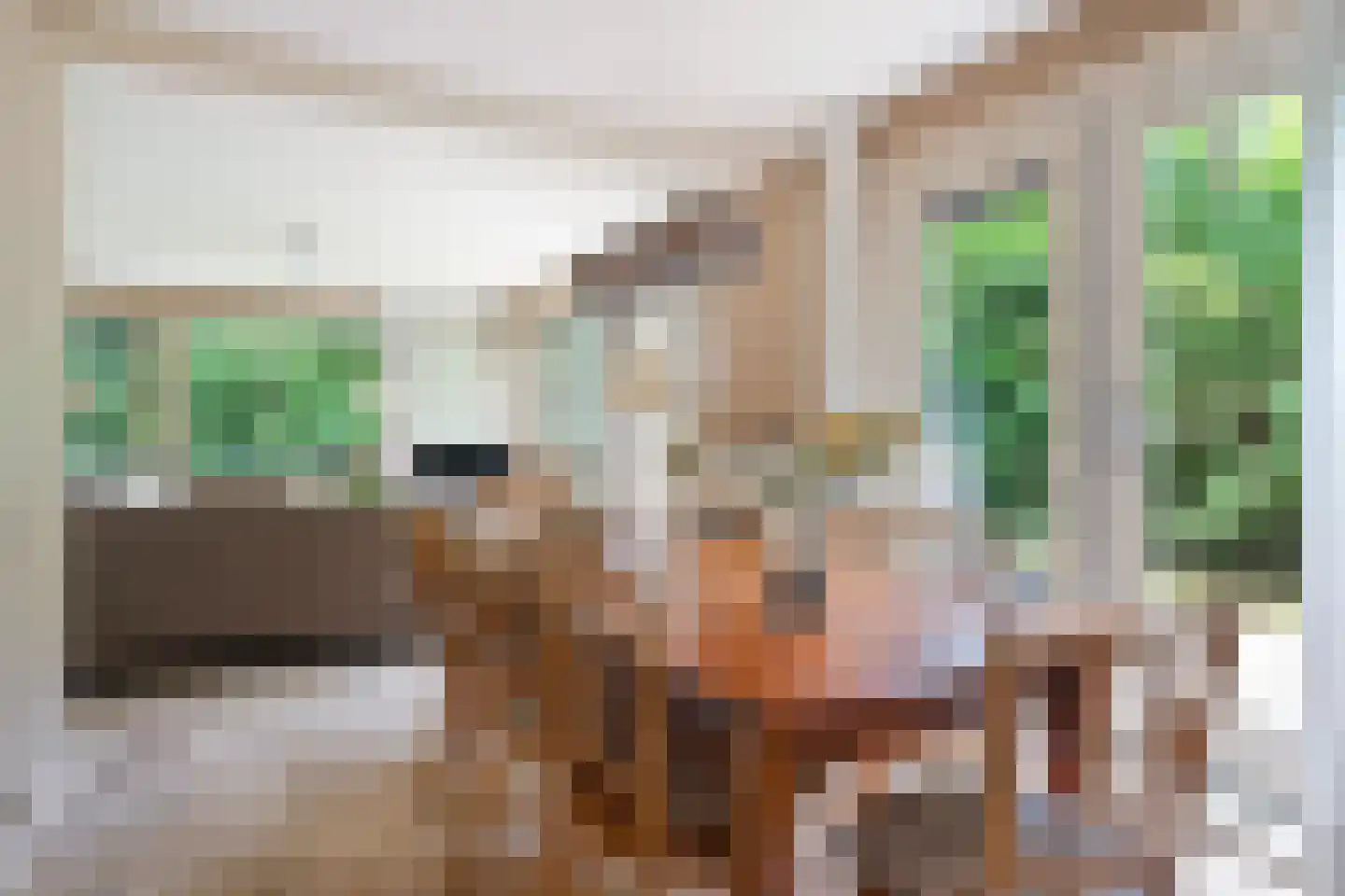 Fonteinwei 12 53 Oudemirdum thumbnail 24