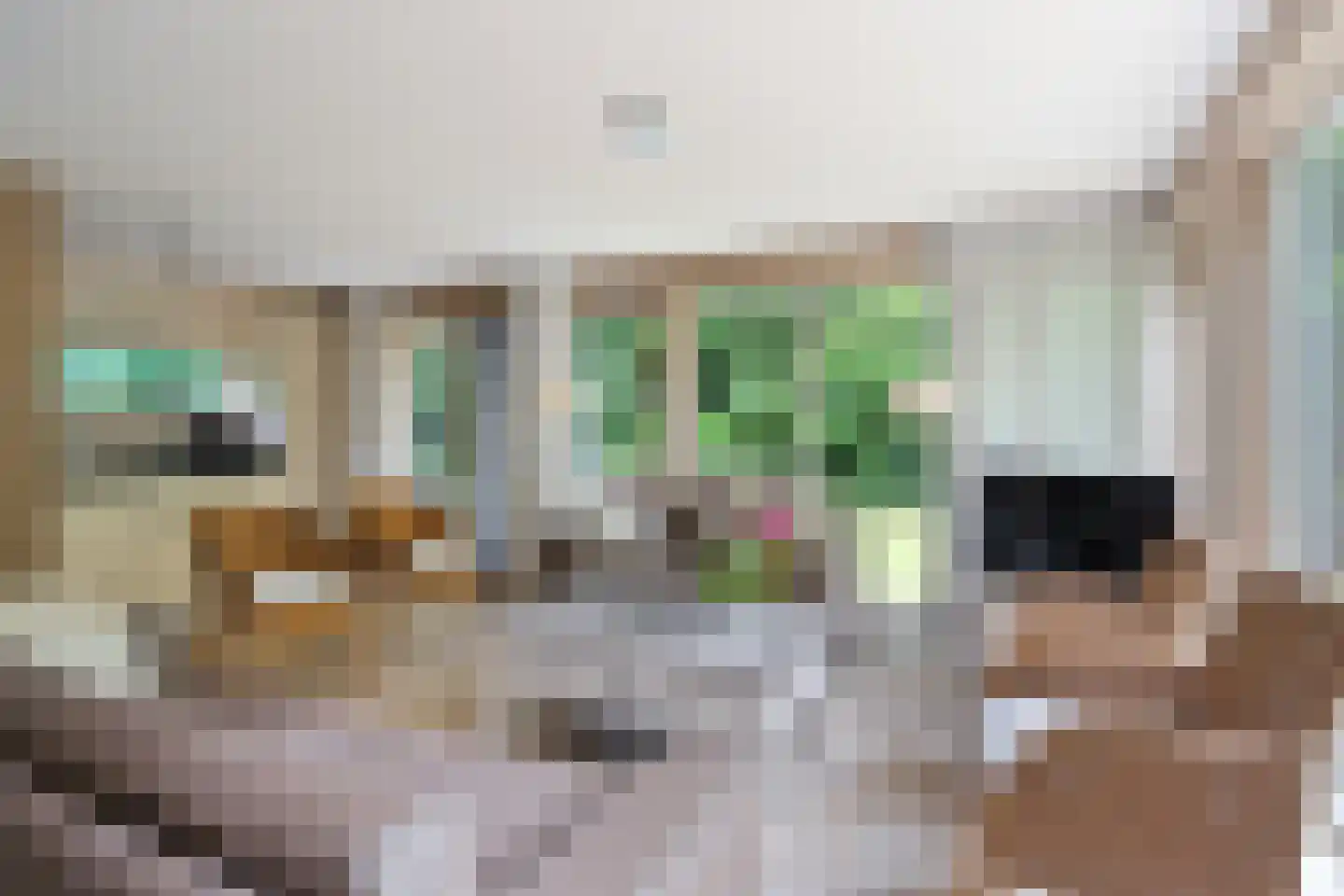 Fonteinwei 12 53 Oudemirdum thumbnail 25