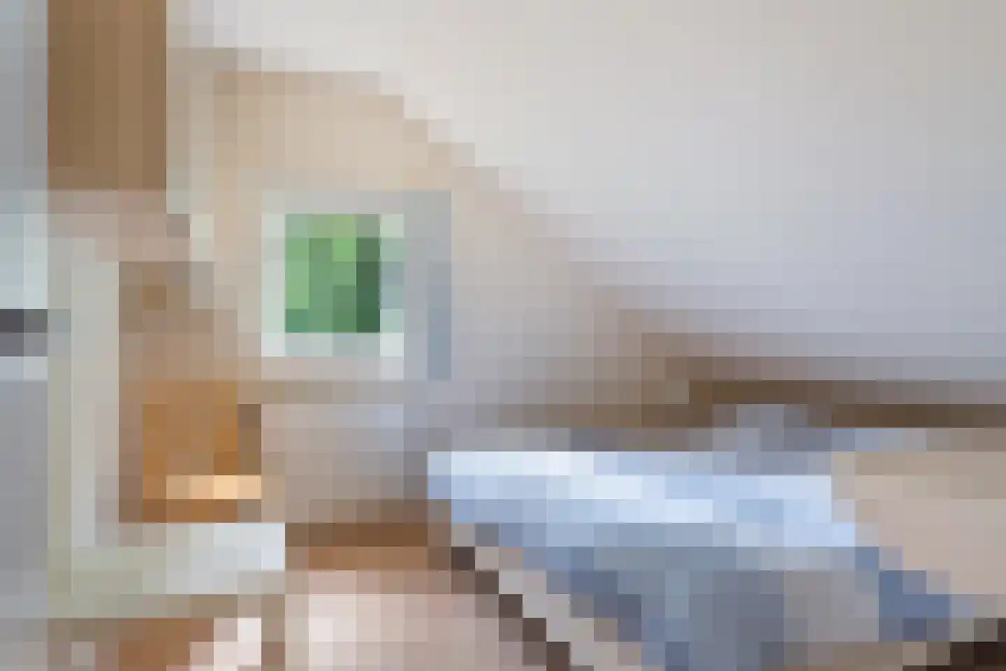 Fonteinwei 12 53 Oudemirdum thumbnail 34