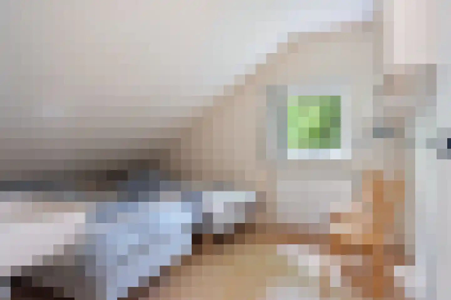 Fonteinwei 12 53 Oudemirdum thumbnail 36
