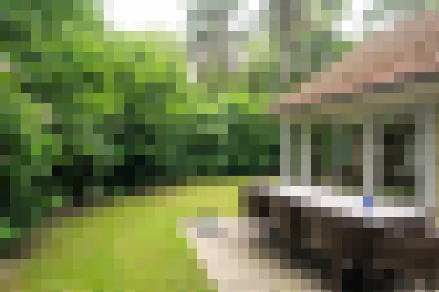 Fonteinwei 12 53 Oudemirdum thumbnail 4