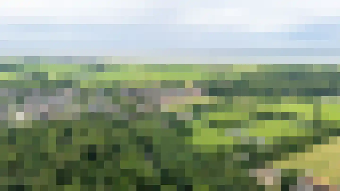 Fonteinwei 12 53 Oudemirdum thumbnail 42