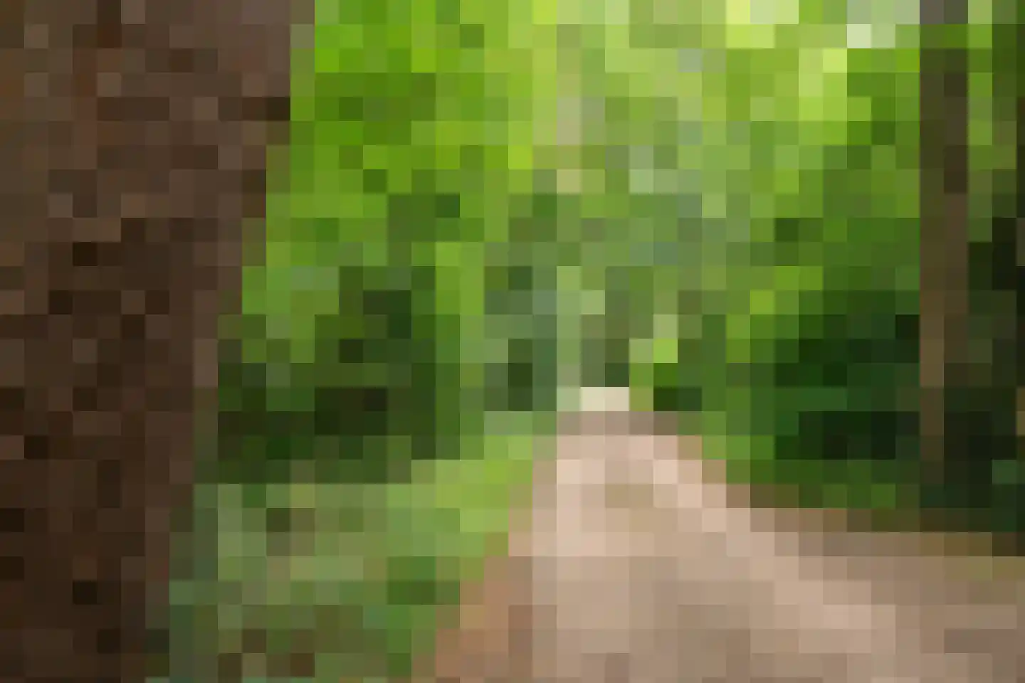 Fonteinwei 12 53 Oudemirdum thumbnail 43