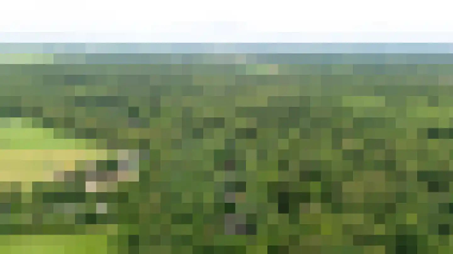 Fonteinwei 12 53 Oudemirdum thumbnail 44