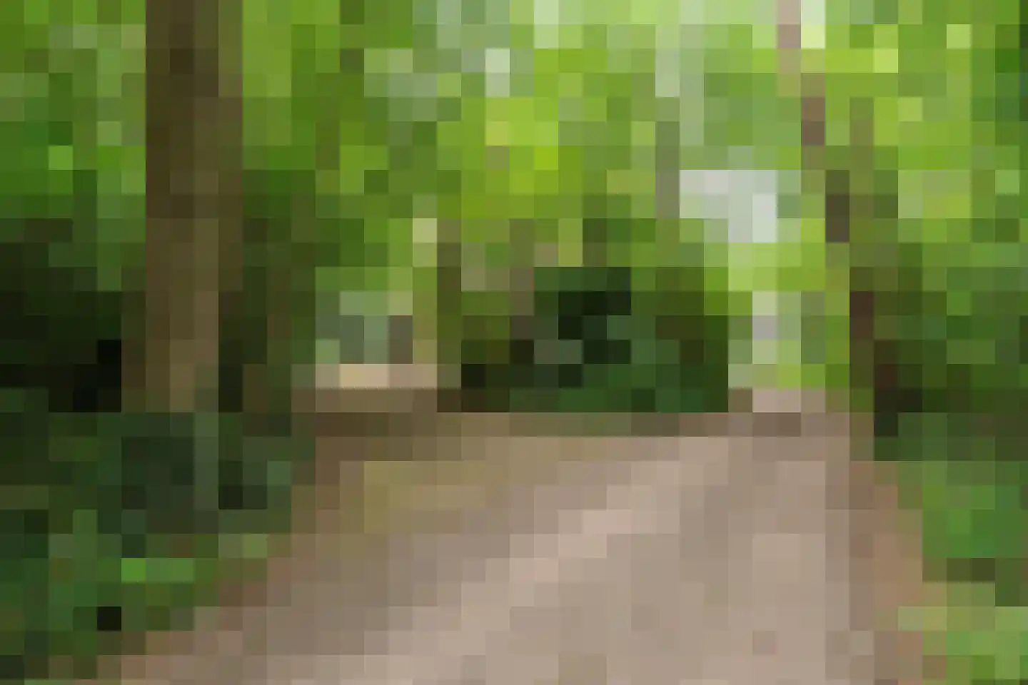 Fonteinwei 12 53 Oudemirdum thumbnail 45