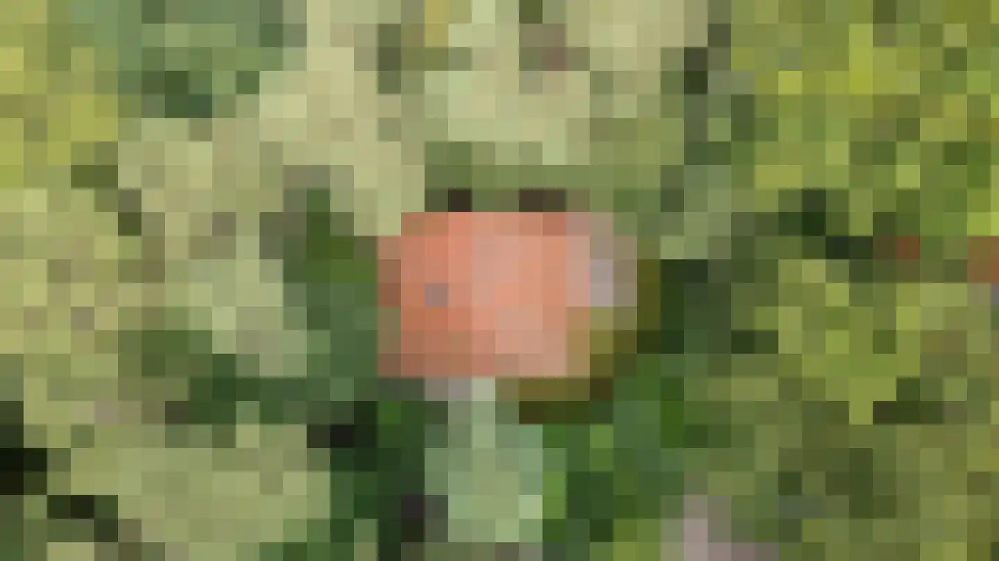 Fonteinwei 12 53 Oudemirdum thumbnail 46