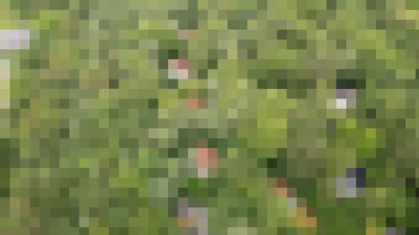 Fonteinwei 12 53 Oudemirdum thumbnail 47