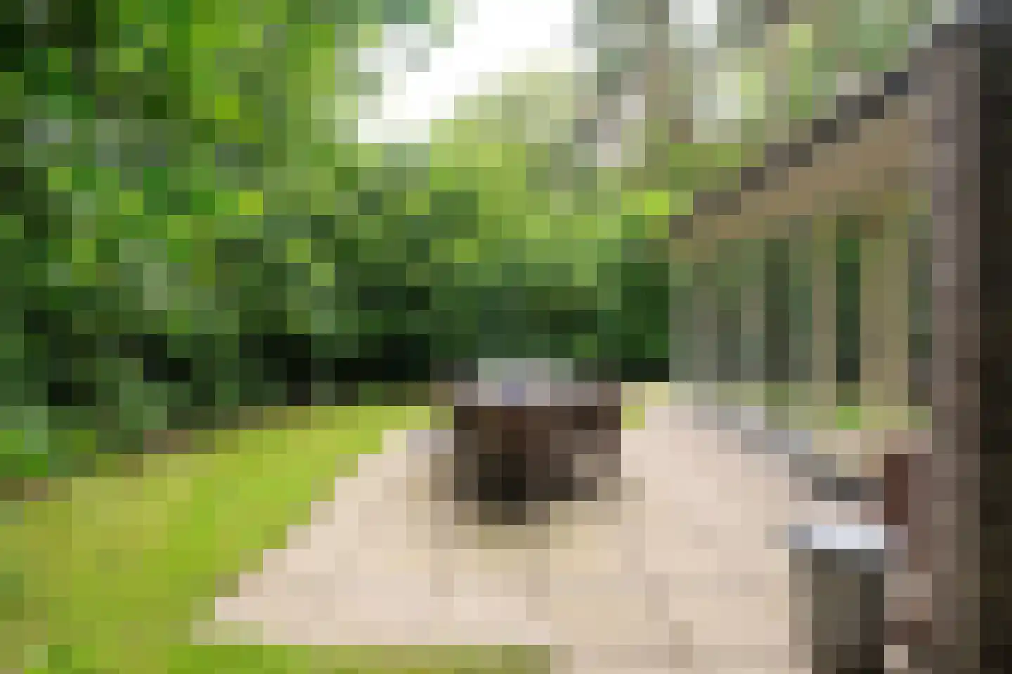Fonteinwei 12 53 Oudemirdum thumbnail 5