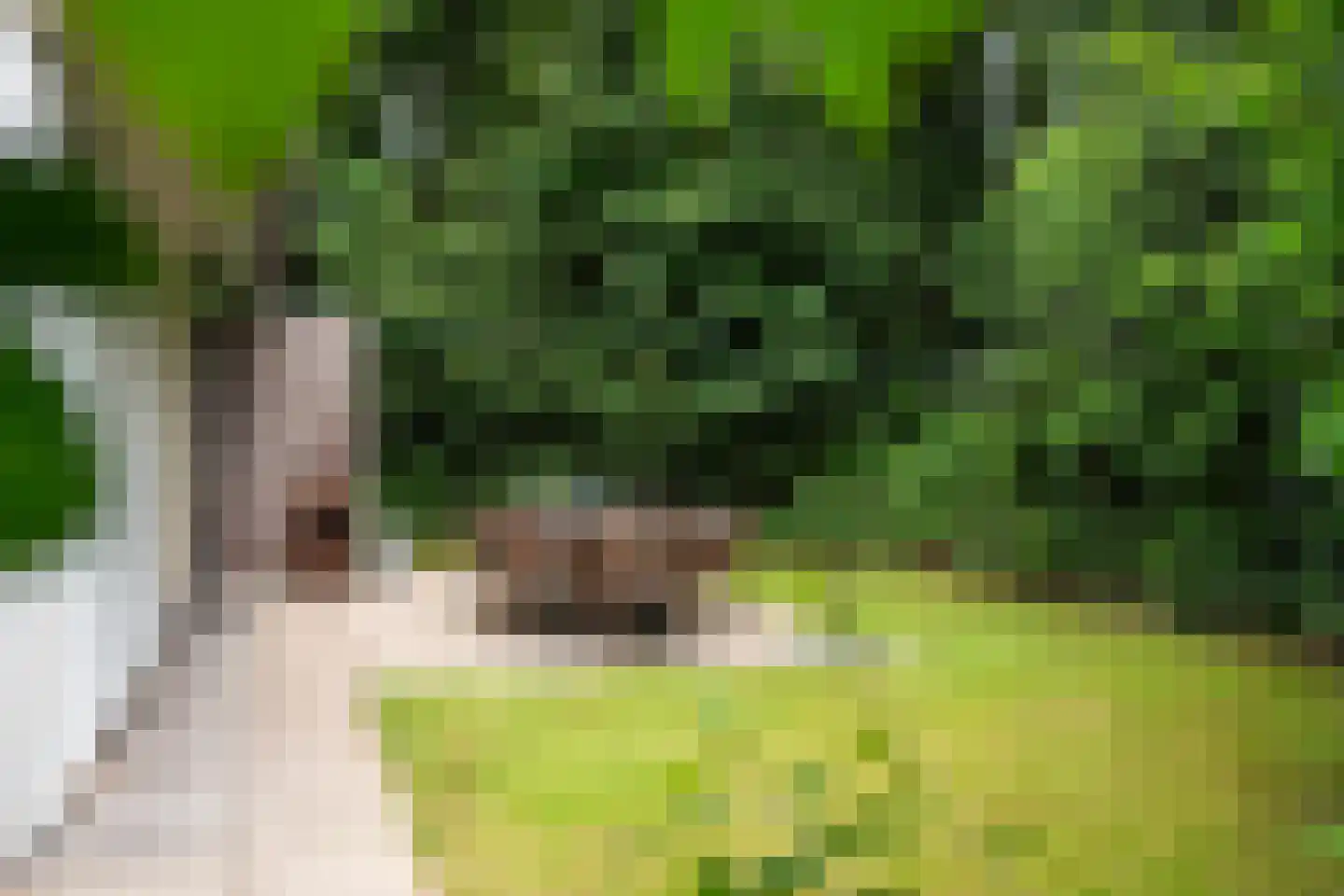 Fonteinwei 12 53 Oudemirdum thumbnail 6