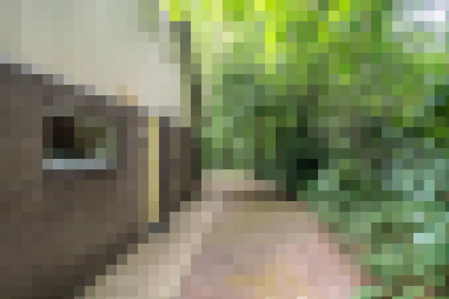 Fonteinwei 12 53 Oudemirdum thumbnail 7