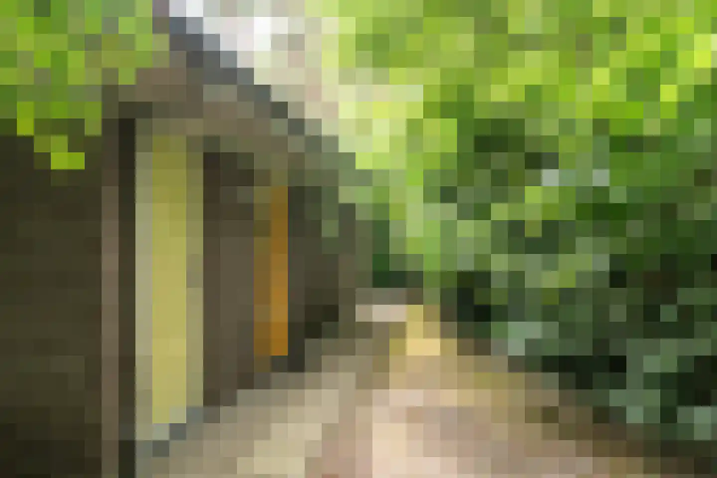Fonteinwei 12 53 Oudemirdum thumbnail 8