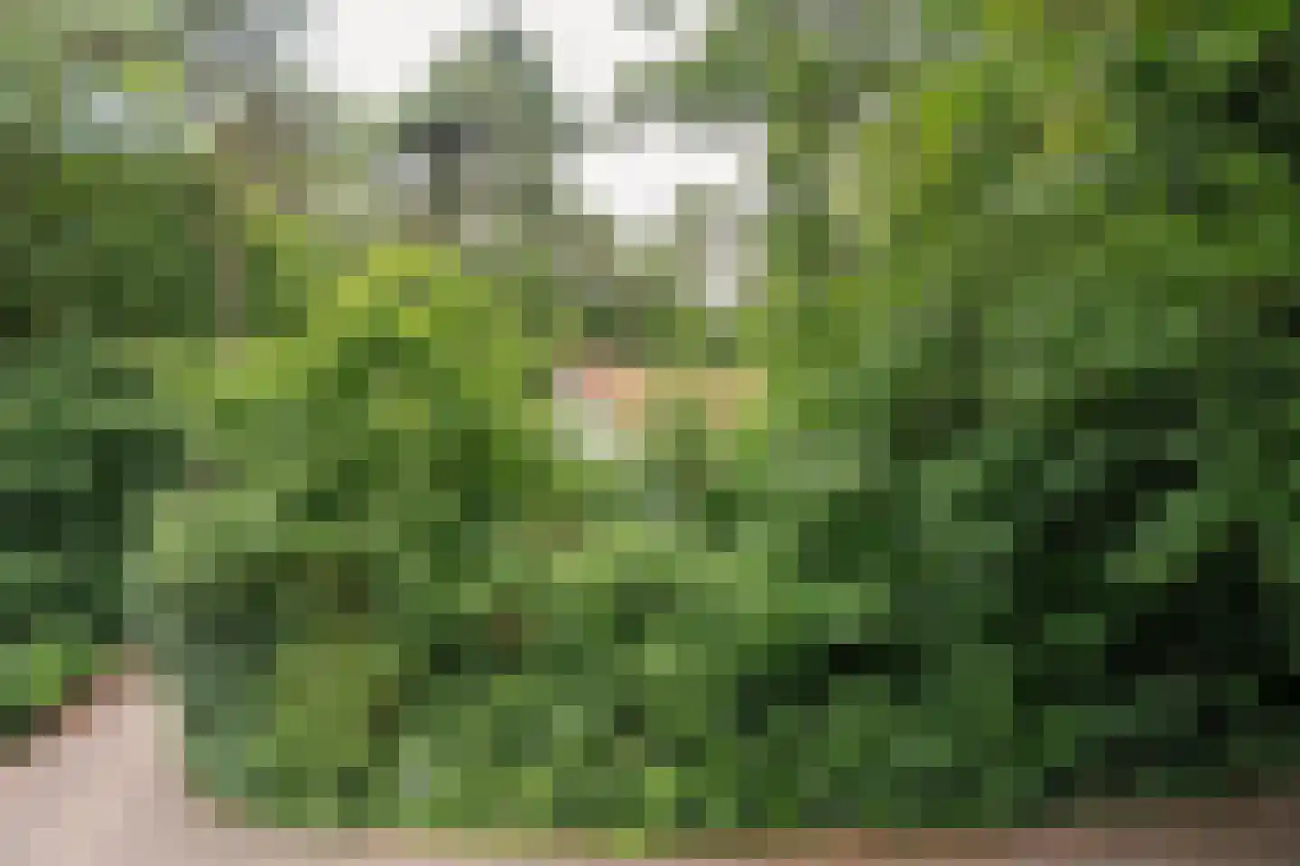 Fonteinwei 12 53 Oudemirdum thumbnail 9