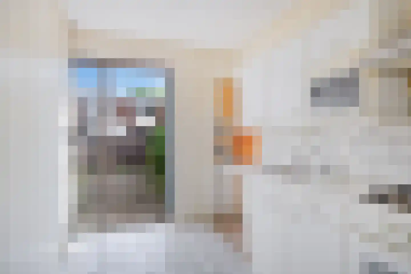 Fontenellestraat 7 Rotterdam thumbnail 11