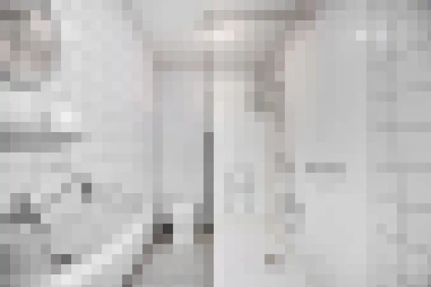 Fontenellestraat 7 Rotterdam thumbnail 16