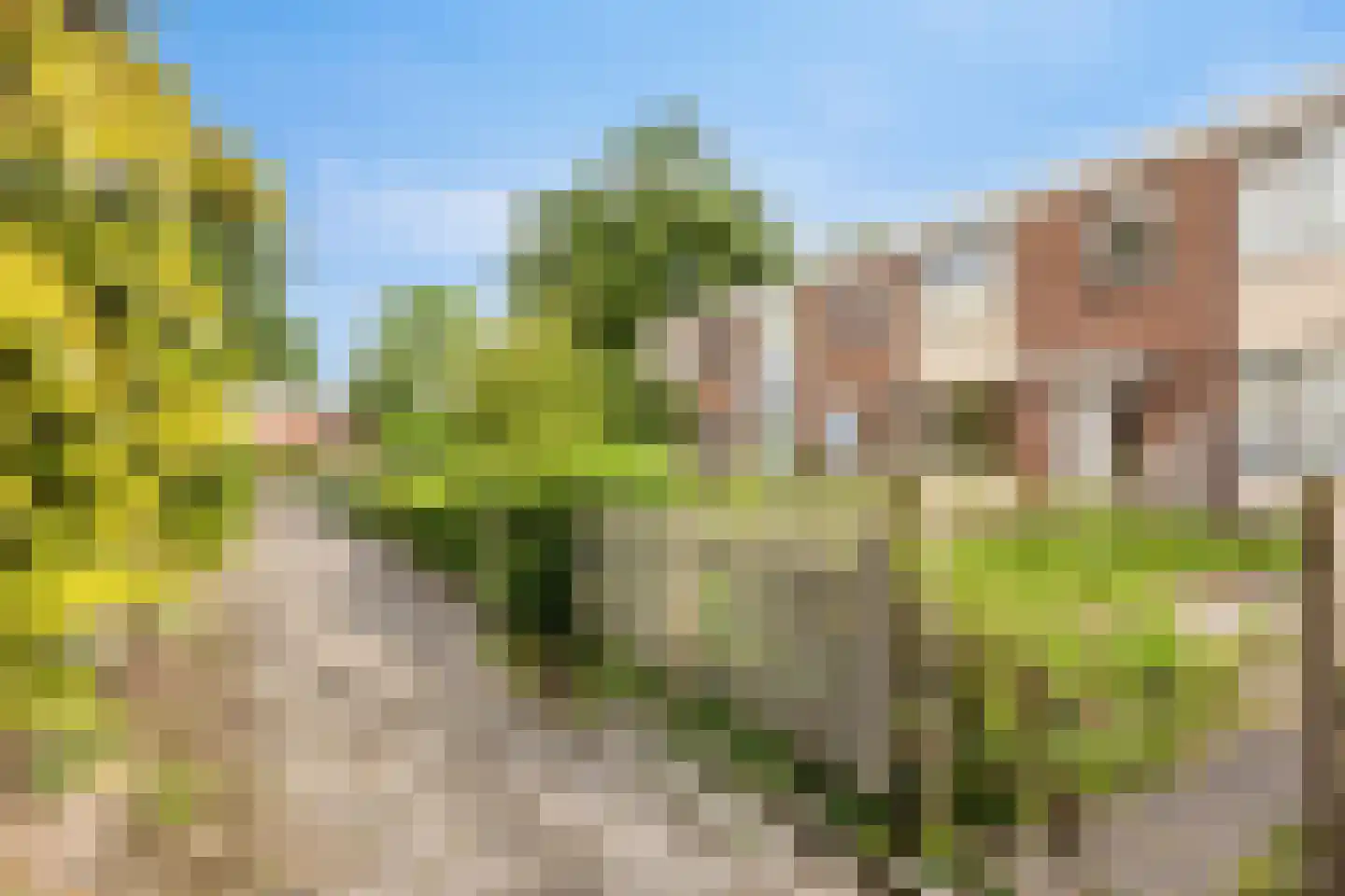 Fontenellestraat 7 Rotterdam thumbnail 6