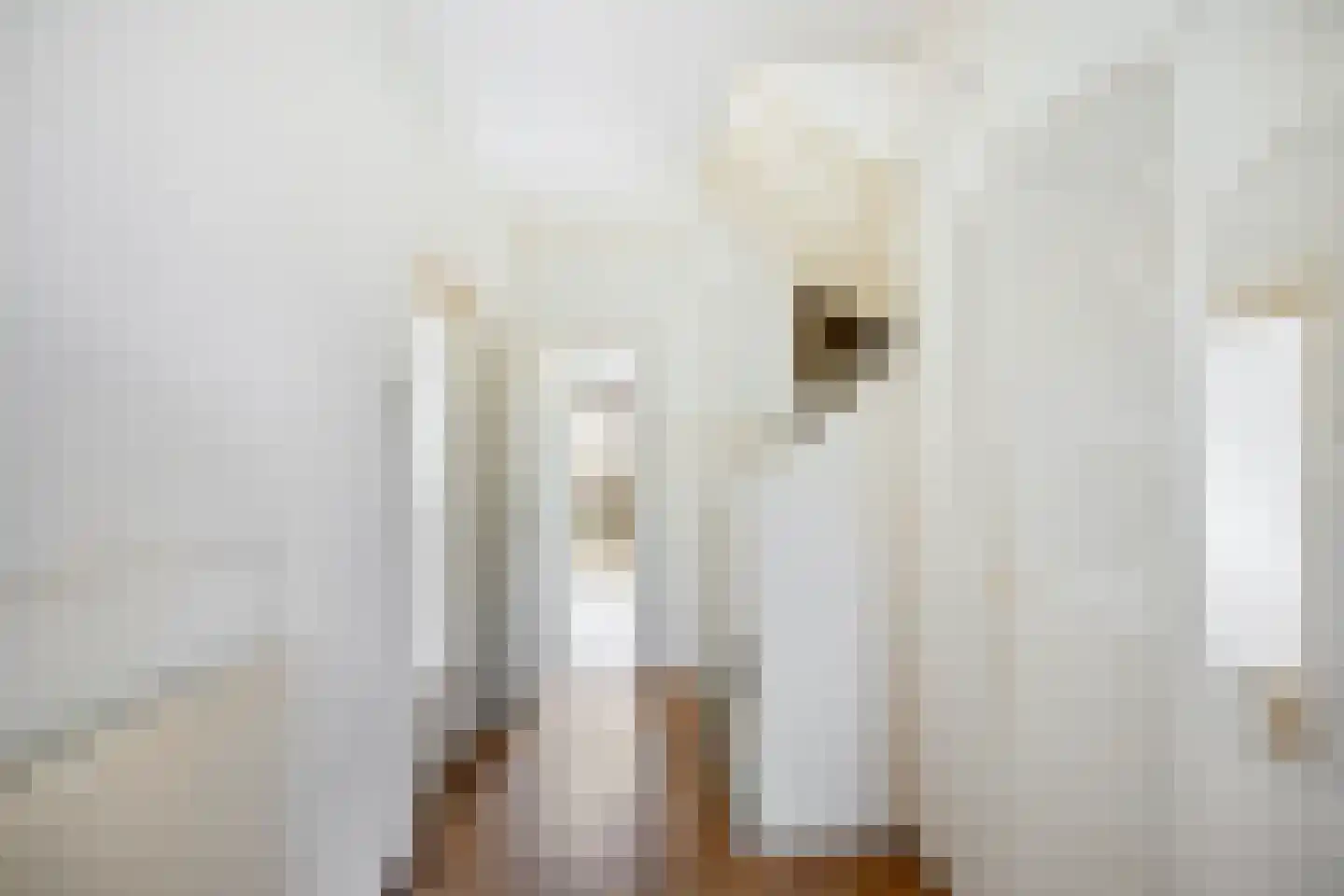 Fontenellestraat 7 Rotterdam thumbnail 9