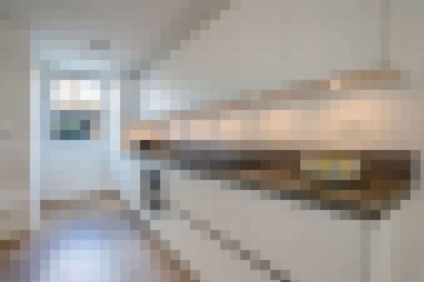 Fonteynenburghlaan 22 Voorburg thumbnail 4