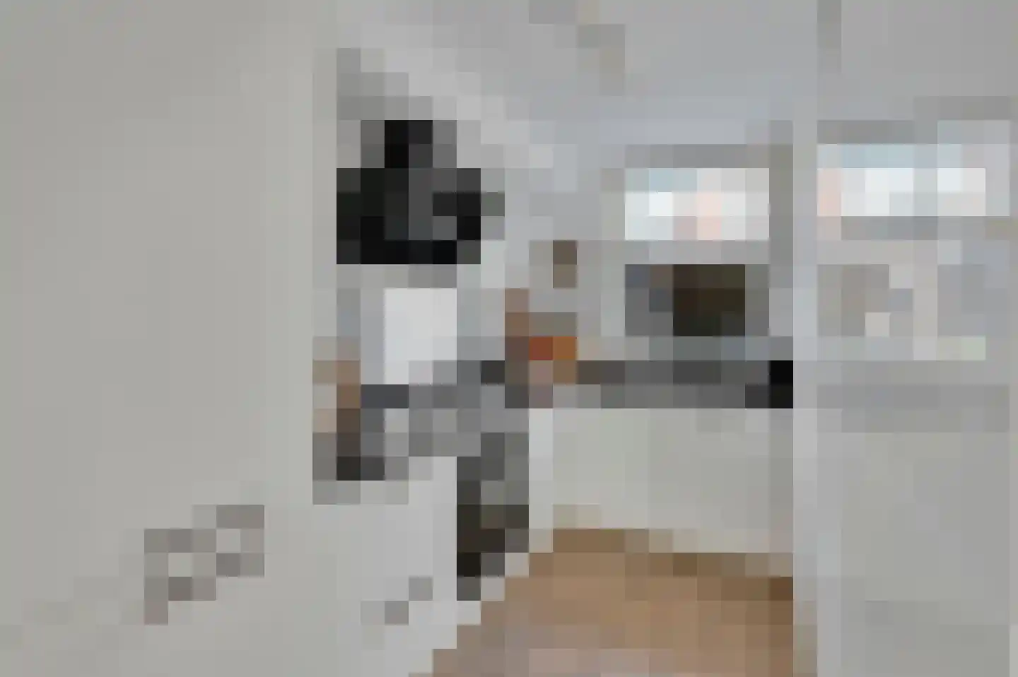 Fonteynenburghlaan 28 Voorburg thumbnail 14
