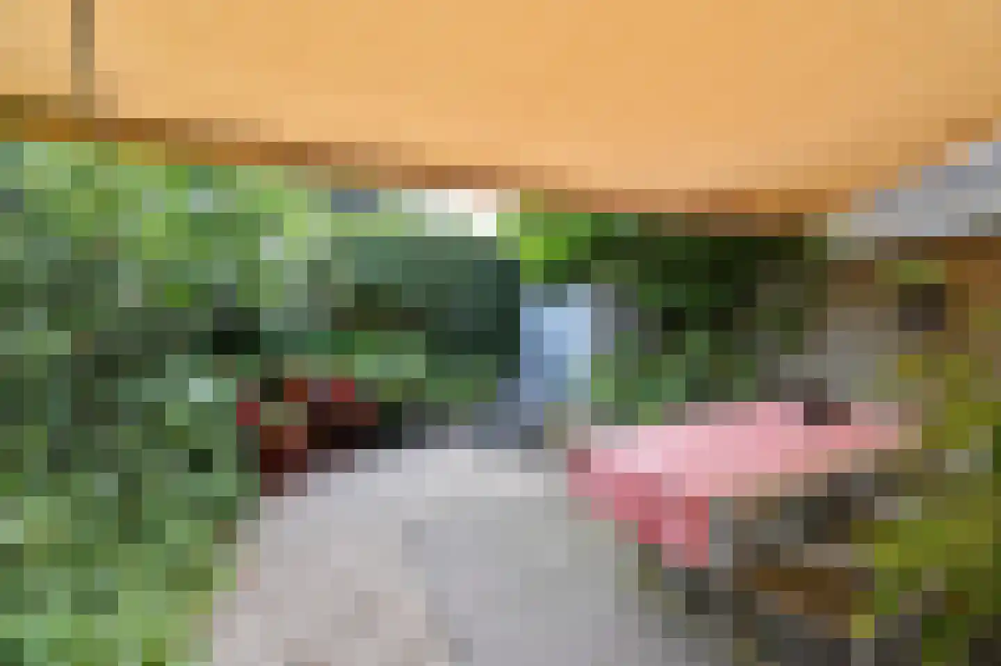Fonteynenburghlaan 28 Voorburg thumbnail 19