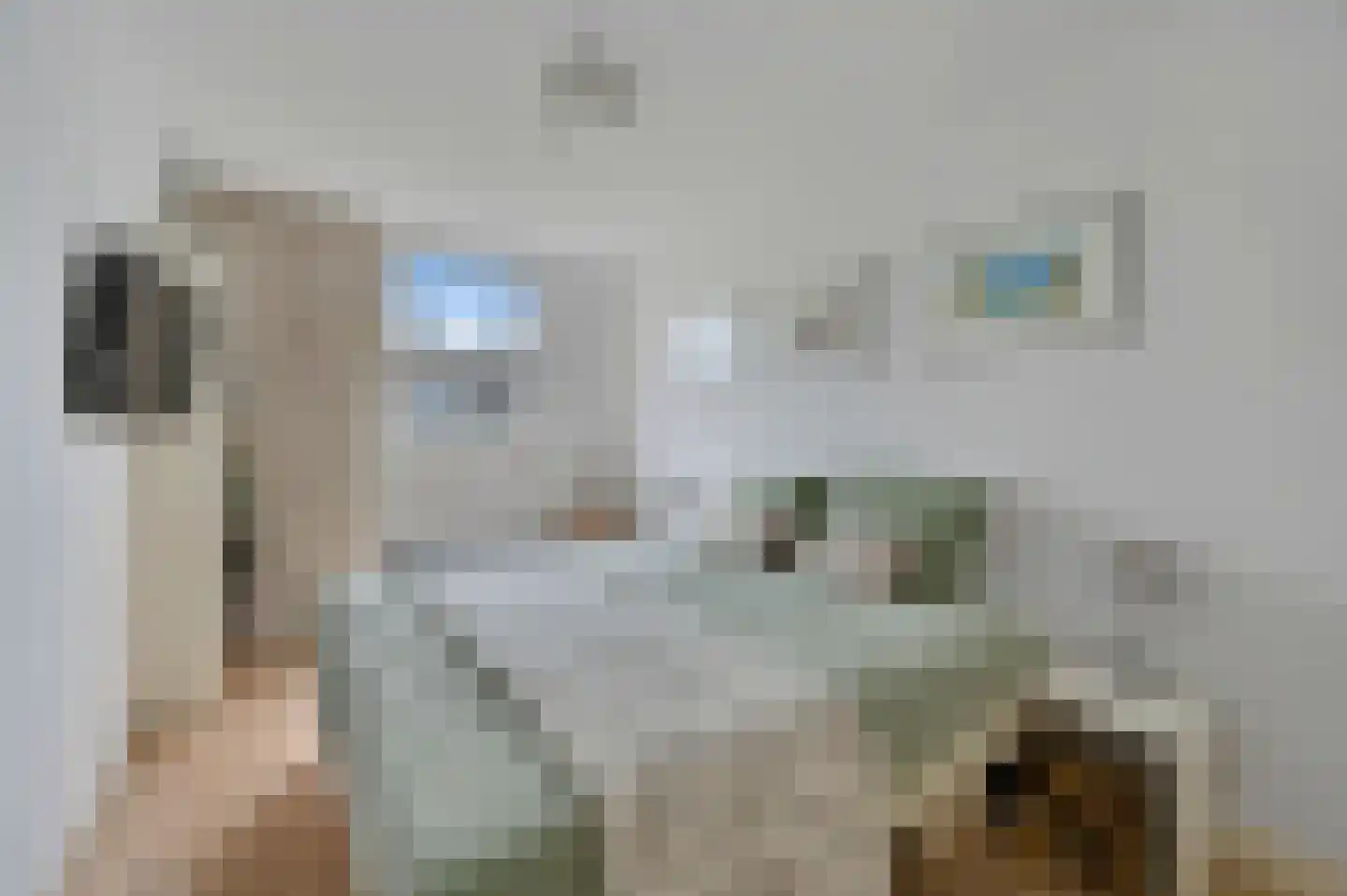 Fonteynenburghlaan 28 Voorburg thumbnail 21